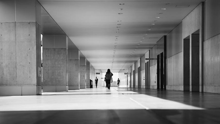 La distribution de dividendes en crypto-actifs est-elle possible ?