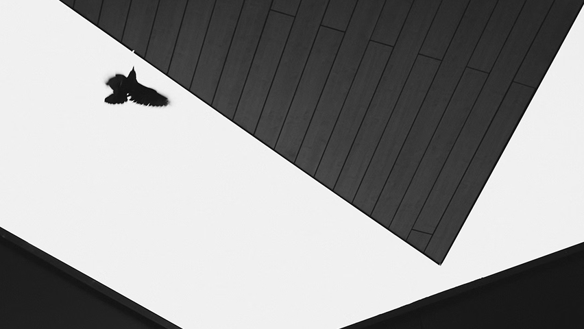 Sous MiCA, la France doit rester pionnière